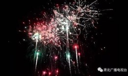 春节烟花秀爆料视频,春节烟花秀惊艳亮相